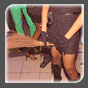 Partypix !
