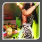 Partypix !