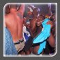 Partypix !