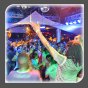Partypix !